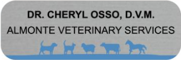 Magnetic custom name tag – Color metal printed – For veterinary 2